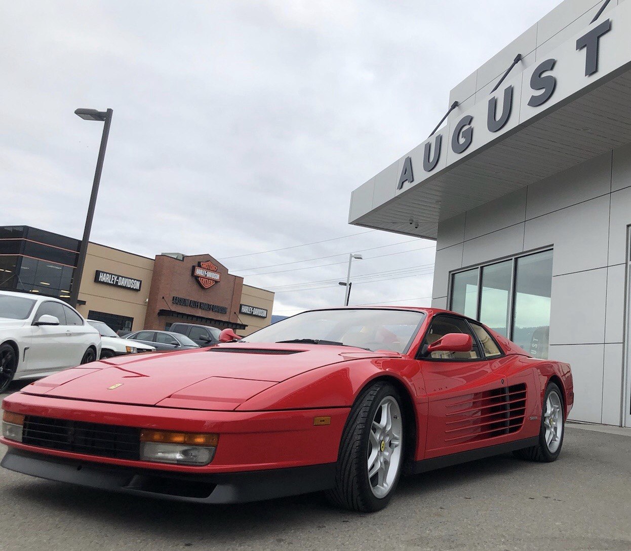 The Ferraris — gallery 6