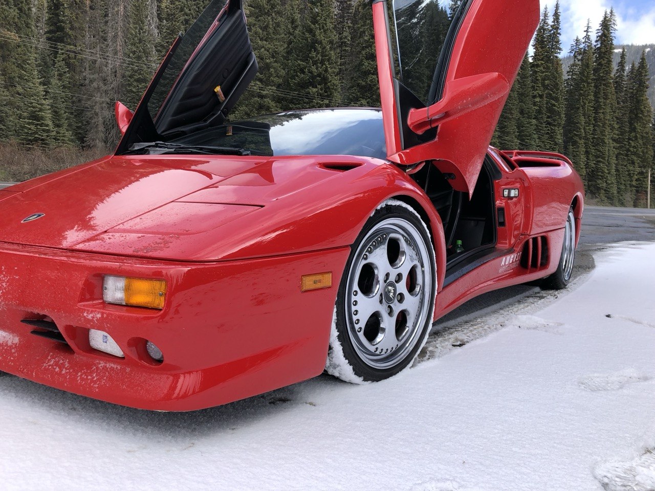 The Lamborghinis — gallery 23